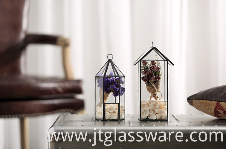 Geometric Glass terrarium 